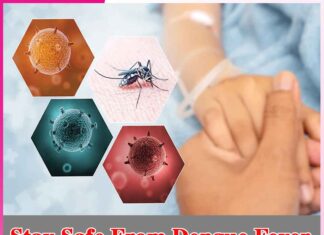 Stay Safe From Dengue Fever