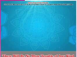 Experiences of the Devotees: There Will Be No More Trouble of Any Kind Experiences of the Devotees