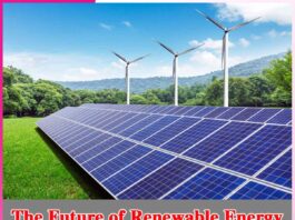 The Future of Renewable Energy