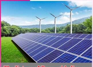The Future of Renewable Energy