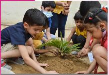 Green Living, Small Steps