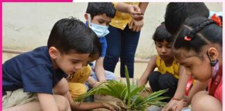 Green Living, Small Steps Green Living, Small Steps