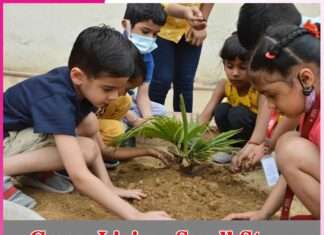 Green Living, Small Steps