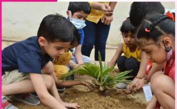 Green Living, Small Steps Green Living, Small Steps