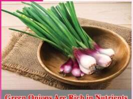 Green Onions