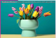 Experiences of Devotees- Son! She Has Had an Operation Experiences of Devotees