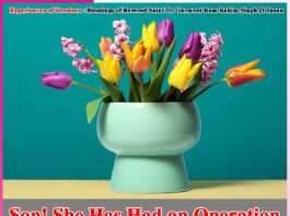 Experiences of Devotees