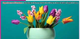 Experiences of Devotees- Son! She Has Had an Operation Experiences of Devotees