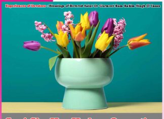 Experiences of Devotees