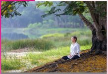 The Healing Power of Silence The Healing Power of Silence