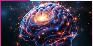 Why Curiosity Makes You Smarter Why Curiosity Makes You Smarter