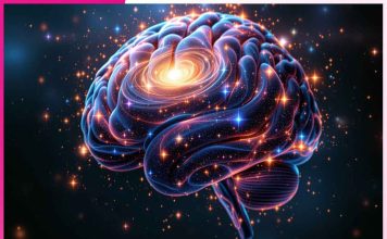 Why Curiosity Makes You Smarter Why Curiosity Makes You Smarter