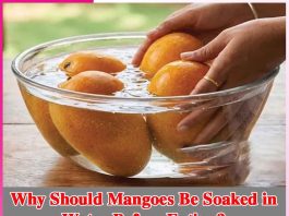 Why Should Mangoes Be Soaked in Water Before Eating? Mangoes
