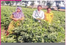From Traditional Farming to Cash Crops From Traditional Farming to Cash Crops