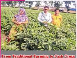 From Traditional Farming to Cash Crops From Traditional Farming to Cash Crops