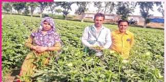 From Traditional Farming to Cash Crops From Traditional Farming to Cash Crops