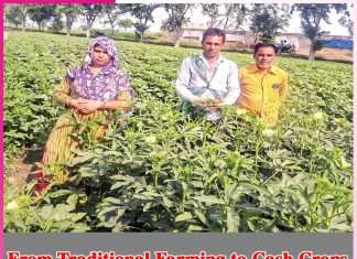 From Traditional Farming to Cash Crops From Traditional Farming to Cash Crops