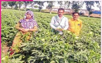 From Traditional Farming to Cash Crops From Traditional Farming to Cash Crops