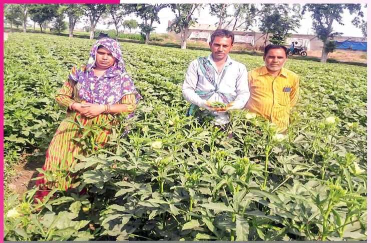 From Traditional Farming to Cash Crops From Traditional Farming to Cash Crops