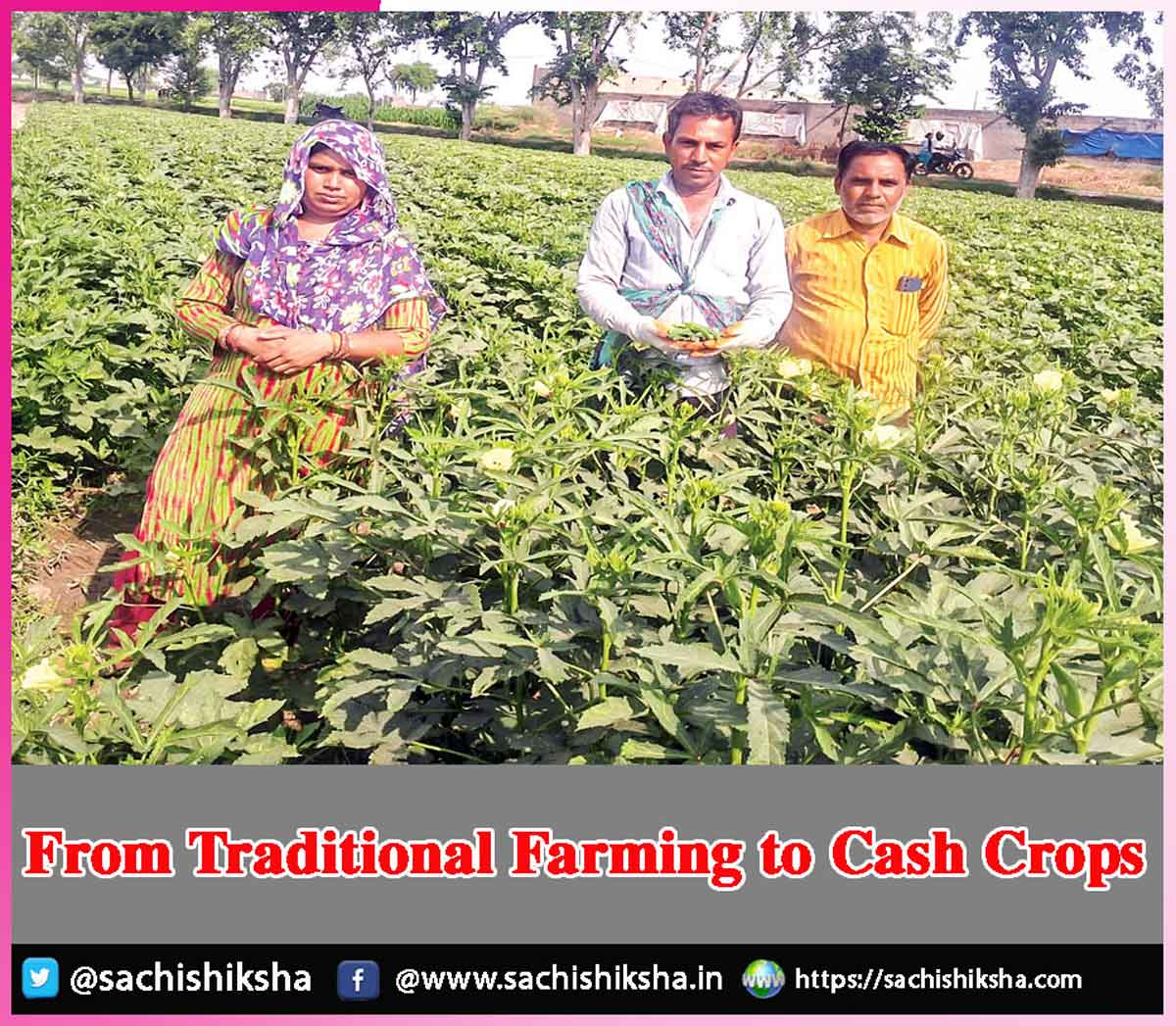 From Traditional Farming to Cash Crops From Traditional Farming to Cash Crops