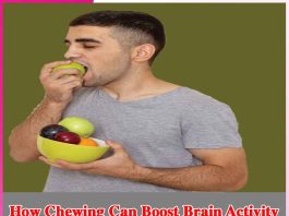 How Chewing Can Boost Brain Activity