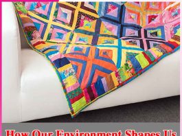 How Our Environment Shapes Us How Our Environment Shapes Us