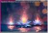 Experiences of Devotees: A Disciple’s Devotion and the True Master’s Divine Protection Experiences of Devotees