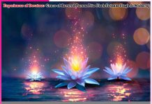Experiences of Devotees: A Disciple’s Devotion and the True Master’s Divine Protection Experiences of Devotees