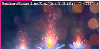 Experiences of Devotees: A Disciple’s Devotion and the True Master’s Divine Protection Experiences of Devotees