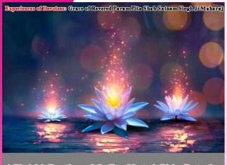 Experiences of Devotees: A Disciple’s Devotion and the True Master’s Divine Protection Experiences of Devotees