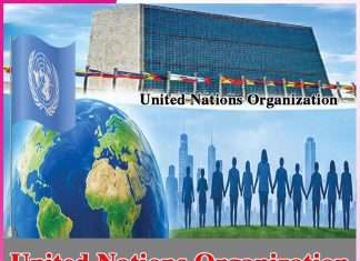 United Nations Organization