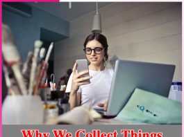 Why We Collect Things Why We Collect Things